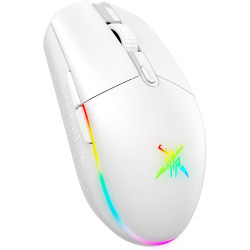 TECKNET Kabellose Gaming-Maus, RGB 2.4G/USB-C Kabelgebundene Gaming-Maus, 8000 DPI Wiederaufladbar, PC Gaming Mouse mit