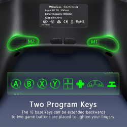 AceGamer Wireless Controller für Switch/Switch 2/Switch Lite/Switch OLED mit Weckfunktion mit einer Taste/Doppel