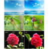 Basics UV-Filter für Nikon NIKKOR Z DX 16-50mm f/3.5-6.3 VR Objektiv mit Nikon Z5, Z6, Z6 II, Z7, Z7 II Kamera