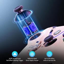 RALAN Wireless Controller mit Paddles für Xbox One S/X, Xbox Series S/X, Windows PC, 2.4G Wireless Adapter mit 3.7mm