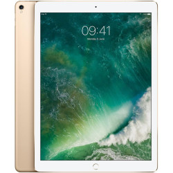 Apple iPad Pro 12.9 (2. Gen) 256GB 4G - Space Grau - Entriegelte (Generalüberholt)
