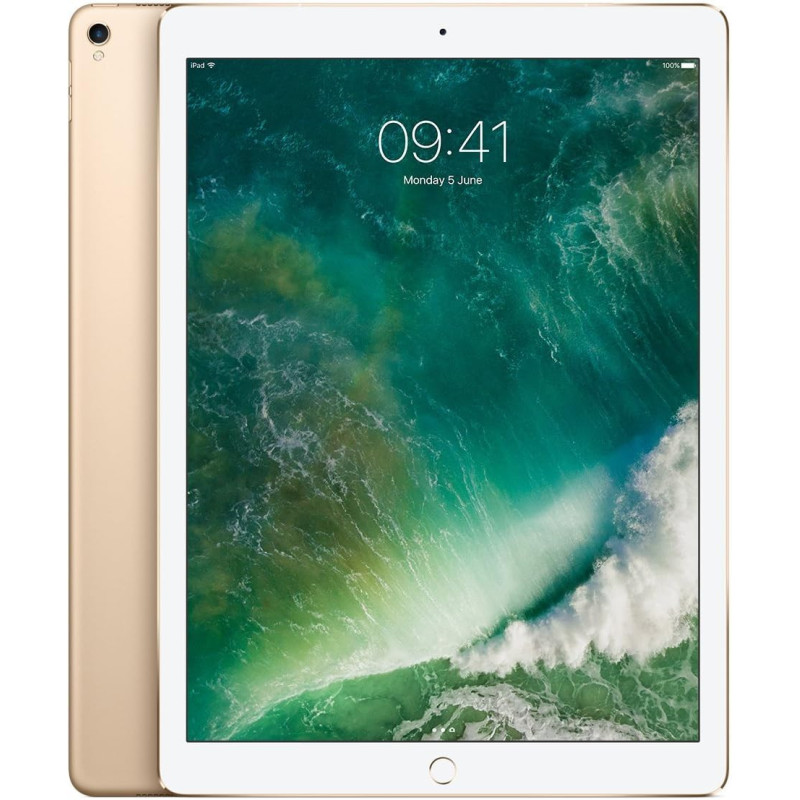 Apple iPad Pro 12.9 (2. Gen) 256GB 4G - Space Grau - Entriegelte (Generalüberholt)