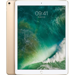 Apple iPad Pro 12.9 (2. Gen) 256GB 4G - Space Grau - Entriegelte (Generalüberholt)