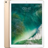 Apple iPad Pro 12.9 (2. Gen) 256GB 4G - Space Grau - Entriegelte (Generalüberholt)
