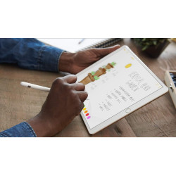 Apple iPad Pro 12.9 (2. Gen) 256GB 4G - Space Grau - Entriegelte (Generalüberholt)