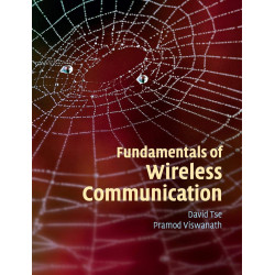 Fundamentals of Wireless Communication: With 237 exercises
