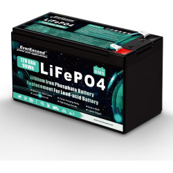 EverExceed 12V 8Ah Wiederaufladbare Lithium Batterie, 12v Lifepo4 Akku mit integriertem BMS, 3000+ Tiefe Zyklen Batterie 12V für