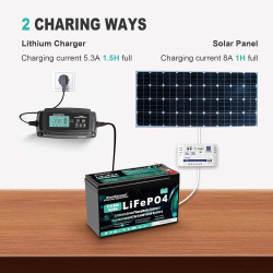 EverExceed 12V 8Ah Wiederaufladbare Lithium Batterie, 12v Lifepo4 Akku mit integriertem BMS, 3000+ Tiefe Zyklen Batterie 12V für