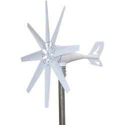 AISINILALAO 3000W leistungsfähiger Turbinen-Generator-Satz, Permanentmagnet-Wind-Generator 12V 24V 48V 220V 8 Blatt für