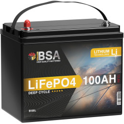 BSA LiFePO4 100Ah 12V Mini Lithium Batterie Wohnmobil Akku mit BMS Solarbatterie Solar Boot AI Affiliate SummarizerNew