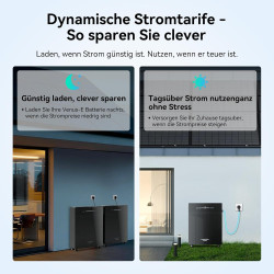 2,56kWh VENUS-C Balkonkraftwerk Speicher +CT002 Smarter Zähler, AC-gekoppeltes Energiespeichersystem All-in-One Solarspeicher,