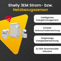 EPP.Solar® Smart Balkonkraftwerk mit Speicher 5280W Solaranlage Komplettset, 2,56kWh Stromspeicher, 3000W Notstromsteckdose,