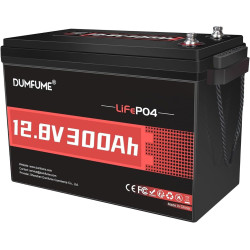 Dumfume 12V 300Ah LiFePO4 Lithium Batterie 3840Wh 200A BMS, Max 15000 Tiefzyklen und 10 Jahre Lebensdauer Akku für Solarenergie,