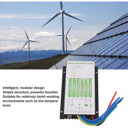 Hybrid-Laderegler, Wind-Solar-PWM, 20 A, max. 800 W, Turbine, 1000 W, Panel, Geeignet für Wind-Solarstromanlagen AI Affiliate
