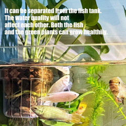 Aquarium-Pflanzkorb, transparent, für Hobbyisten und Profis, 3 Stück