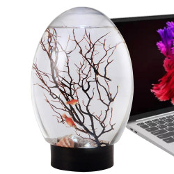 Desktop -Fischtank, Fischschalen für Mittelstücke - Kleine Beta -Fischschale mit LED -Licht - Tragbares Lüfterzweigbaumverzier,