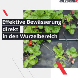 HOLZBRINK Start Set Gewächshaus Bewässerung Bewässerungssystem inkl. 20 m LDPE Verlegerohr 20 mm, 3x Tropfer 2l/h, HTB-09-G-20