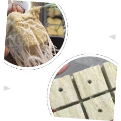 BESTonZON 100 Stück Indoor Hydroponic Starter Plugs Anzuchtwürfel für Pflanzen für DIY Projekte Lösung für Gemüse Garten Hohe