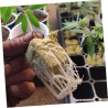 BESTonZON 100 Stück Indoor Hydroponic Starter Plugs Anzuchtwürfel für Pflanzen für DIY Projekte Lösung für Gemüse Garten Hohe