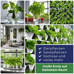 Blusana Hydroponik & Hydrokultur Dünger XL Flasche 1l NPK 7-3-6 Flüssigdünger für Zimmerpflanzen Obst & Gemüse in Nährlösung |