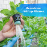 Blusana Hydroponik & Hydrokultur Dünger XL Flasche 1l NPK 7-3-6 Flüssigdünger für Zimmerpflanzen Obst & Gemüse in Nährlösung |