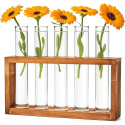 Cieex Reagenzgläser Blumenvase - Kleine Reagenzglas Vasen mit Ständer Holz - Glasrohre mit Flachboden - Modern Vasen Deko Set