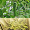 Coffee Life Plus Scrog Netz Pflanzennetz Grow Netz,(60x60cm) Elastic Trellis Netting with 4 Hooks,Elastic Net Trellis for