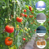 Coffee Life Plus Scrog Netz Pflanzennetz Grow Netz,(60x60cm) Elastic Trellis Netting with 4 Hooks,Elastic Net Trellis for