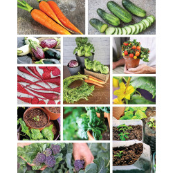 How to Garden Indoors & Grow Your Own Food Year Round: Ultimate Guide to Vertical, Container, and Hydroponic Gardening