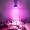Zerodis LED Wachsen Glühbirne 5W E27 Hochleistungs-Panel Vollspektrum LED Gewächshaus Hydroponische Gemüse Topfblume Pflanze