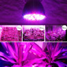Zerodis LED Wachsen Glühbirne 5W E27 Hochleistungs-Panel Vollspektrum LED Gewächshaus Hydroponische Gemüse Topfblume Pflanze