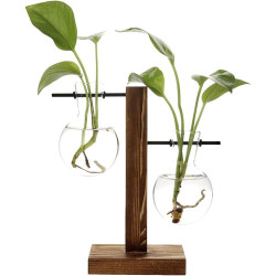 Qanye Desktop Hydroponik Glasvase, Hydrokultur Pflanzen Vase, Deko Holz Halter mit Hydroponik, Pflanzenhalter Hydroponische
