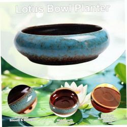 Hydroponischer Pflanzer, Lotus Bowl Pflanzer Keramikglasierte Lotusschale 6x2in Flacher Hydroponic Pflanzer ohne Abfluss rund