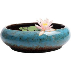 Hydroponischer Pflanzer, Lotus Bowl Pflanzer Keramikglasierte Lotusschale 6x2in Flacher Hydroponic Pflanzer ohne Abfluss rund