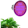 LED-Wachstumslampe, 24 W, E27, leistungsstarkes Panel, Vollspektrum, 200 LEDs, Gewächshaus, Hydrokultur, Gemüse, Topfblume,