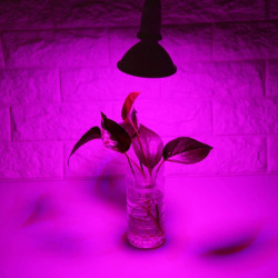 LED-Wachstumslampe, 24 W, E27, leistungsstarkes Panel, Vollspektrum, 200 LEDs, Gewächshaus, Hydrokultur, Gemüse, Topfblume,
