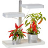 Northpoint LED Pflanzenlampe Gewächslampe Pflanzenlicht 30W Kräutergarten Timerfuntion Innengarten