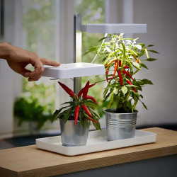 Northpoint LED Pflanzenlampe Gewächslampe Pflanzenlicht 30W Kräutergarten Timerfuntion Innengarten