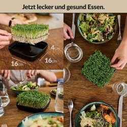 Otaro Kresse Anzuchtschalen inkl. Kressesamen (Weißgrau) | Direkt Loslegen | Edles Kressesieb, Keimschalen für Sprossen,