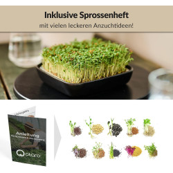 Otaro Kresse Anzuchtschalen inkl. Kressesamen (Weißgrau) | Direkt Loslegen | Edles Kressesieb, Keimschalen für Sprossen,