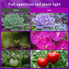 EWEIMA Pflanzenlampe, 80 LEDs Pflanzenlicht mit Zeitschaltuhr 4/8/12 Std, 4 Köpfe Grow Light 3 Lichter Modi und 10 Arten von