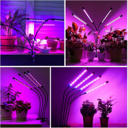 EWEIMA Pflanzenlampe, 80 LEDs Pflanzenlicht mit Zeitschaltuhr 4/8/12 Std, 4 Köpfe Grow Light 3 Lichter Modi und 10 Arten von
