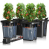 Spider Farmer DWC Hydrokultur Anbausystem mit 27 Liter/7 Gallonen Tiefwasserkultur, Neues Dreieckige Abdeckung Design,