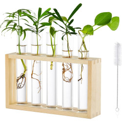 Tischplatte Hängende Glas Pflanzer Vermehrungsstation Moderne 5 Reagenzglas Blume Knospe Vase in Holz Stehen für Hydroponik
