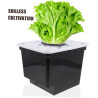 Yardwe Soilless Cultivation Barrels Für Gemüse Und Früchte Hydroponische Anbausysteme Mit Praktischem Design Geeignet Für