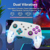 Wireless Controller für Switch/Lite/OLED Konsole, Switch Pro Controller mit Farbwechselnde RGB Beleuchtung/Dual Vibration/6