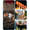 Teleskop Grillspieße Edelstahl 12 Stück,Grillbesteck Set für Camping Grill,Stöcke Roasting Sticks Schaschlikspieße,Lagerfeuer