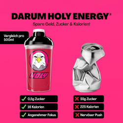 HOLY Iced Tea Starter Set - 2x7 Sorten mit natürlich-fruchtigem Geschmack - Zuckerfreier Eistee mit Antioxidantien & Superfoods