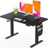 ErGear Höhenverstellbarer Schreibtisch 120x60cm, 80KG Tragkraft Mit Aufbewahrungstasche, Elektrisch Mit Memory Funktion Für