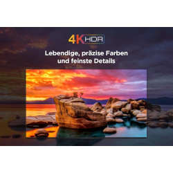 TCL 43PF650 43-Zoll 4K Ultra HD, HDR TV, Smart LED Fire TV (Dolby Vision, Dolby Atmos, DTS, HDR 10, Alexa integriert, Airplay2,